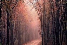 Relevo：巴萨密切关注法兰克福前锋埃基蒂克.