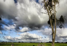 德保罗谈欧冠失利：没看清小蜘蛛罚点瞬间，这是足球一部分要接受.